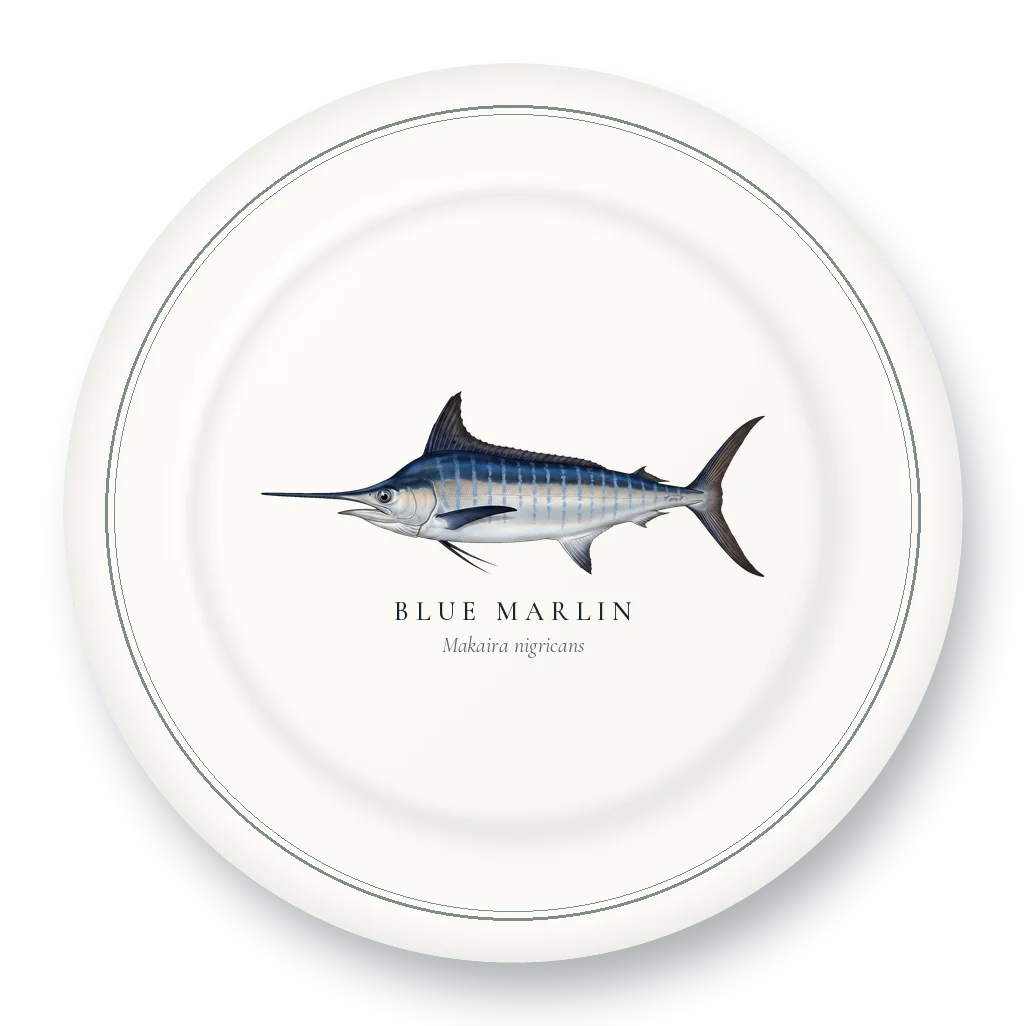 Dinner Plate with Blue Marlin illustration