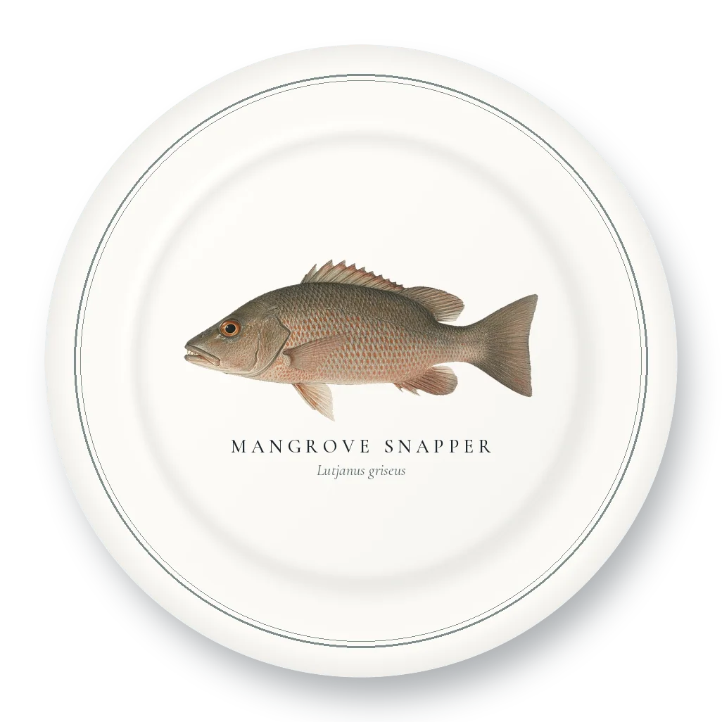 Dinner Plate with Mangrove Snapper illustration