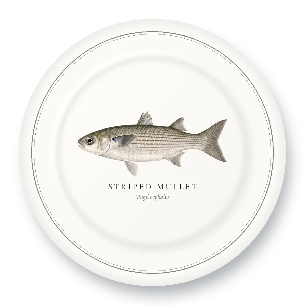 Dinner Plate with Striped Mullet illustration