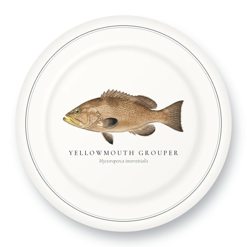 Dinner Plate with Yellowmouth Grouper illustration