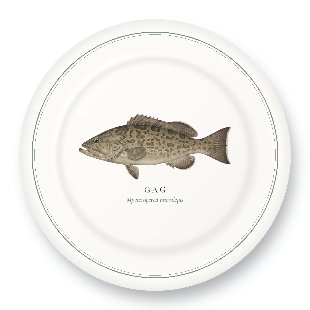Dinner Plate with Gag illustration