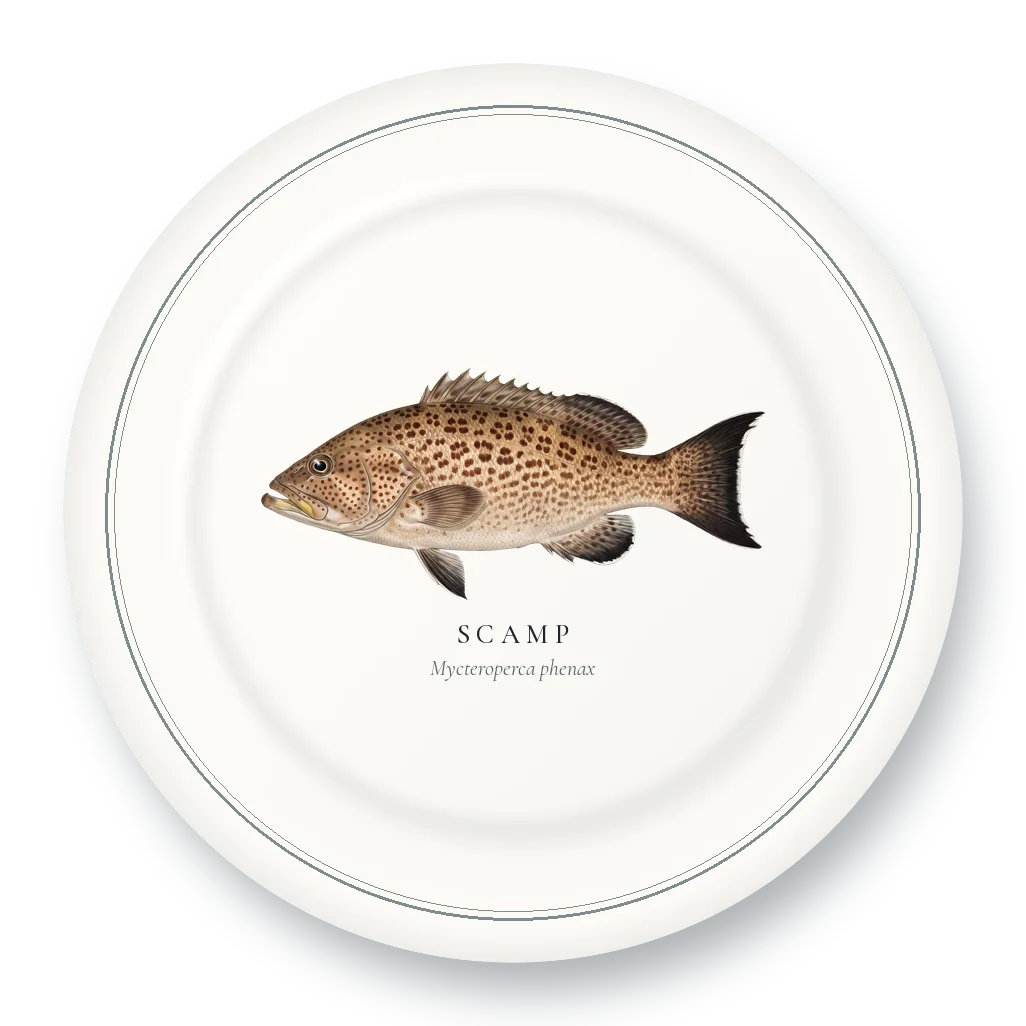 Dinner Plate with Scamp illustration