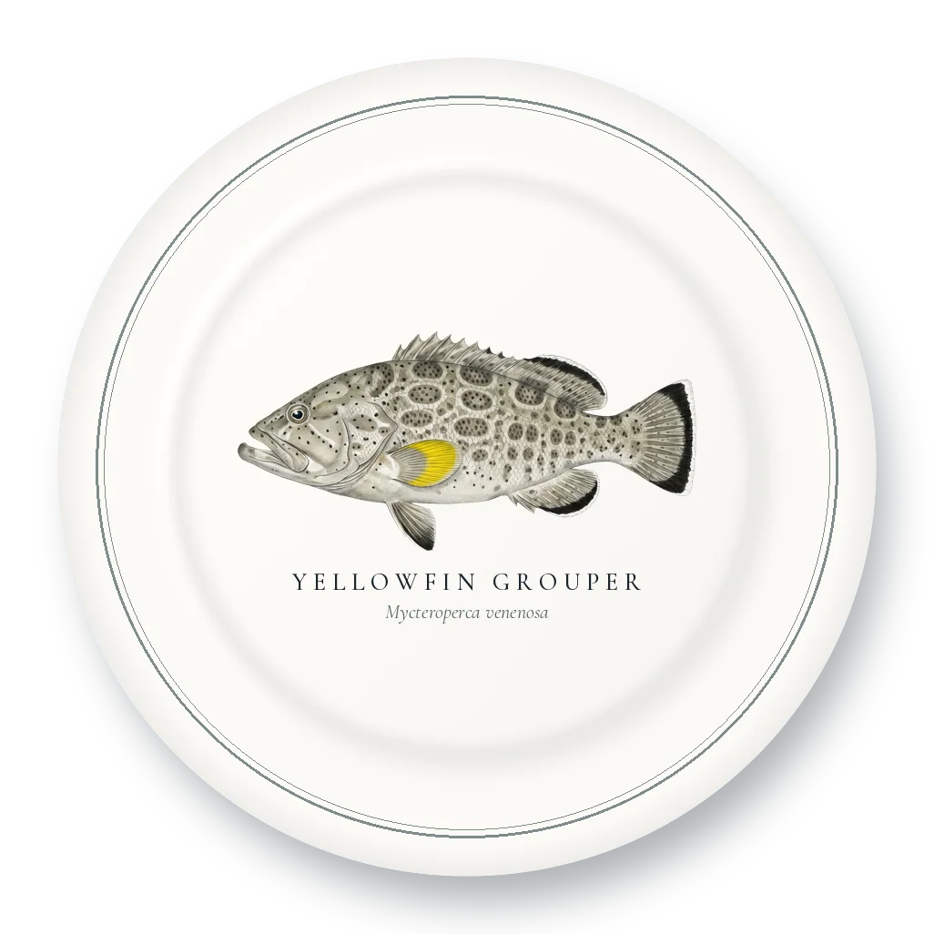 Dinner Plate with Yellowfin Grouper illustration