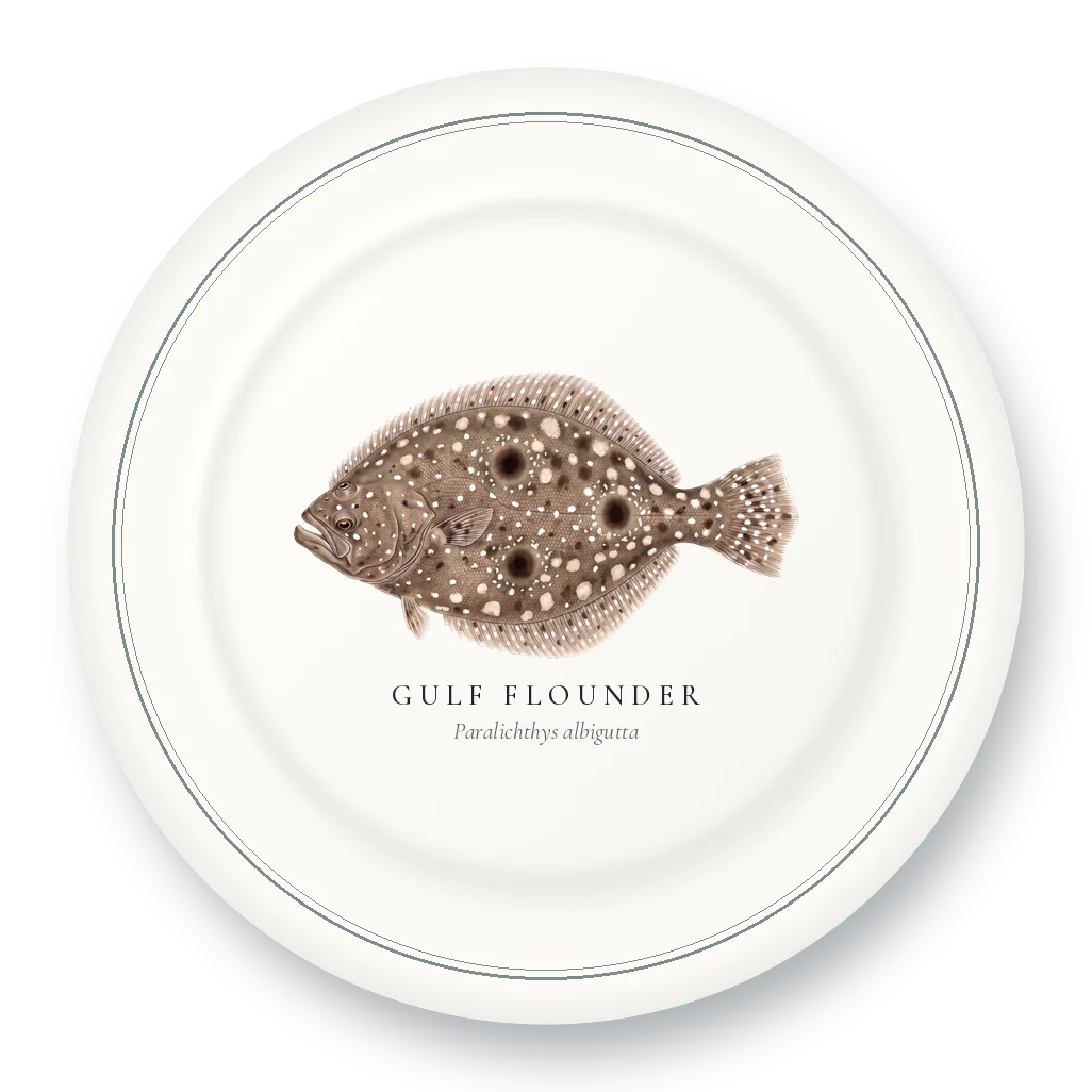 Dinner Plate with Gulf Flounder illustration