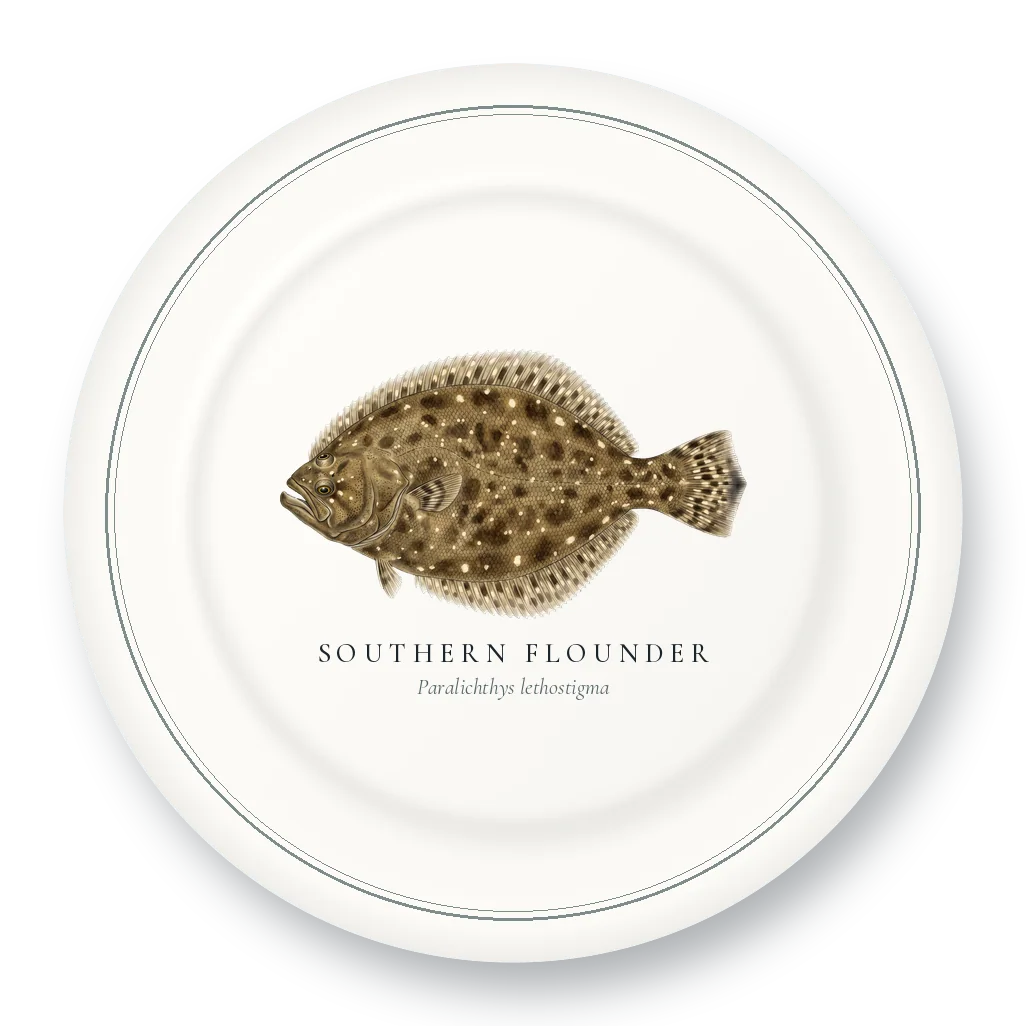Dinner Plate with Southern Flounder illustration