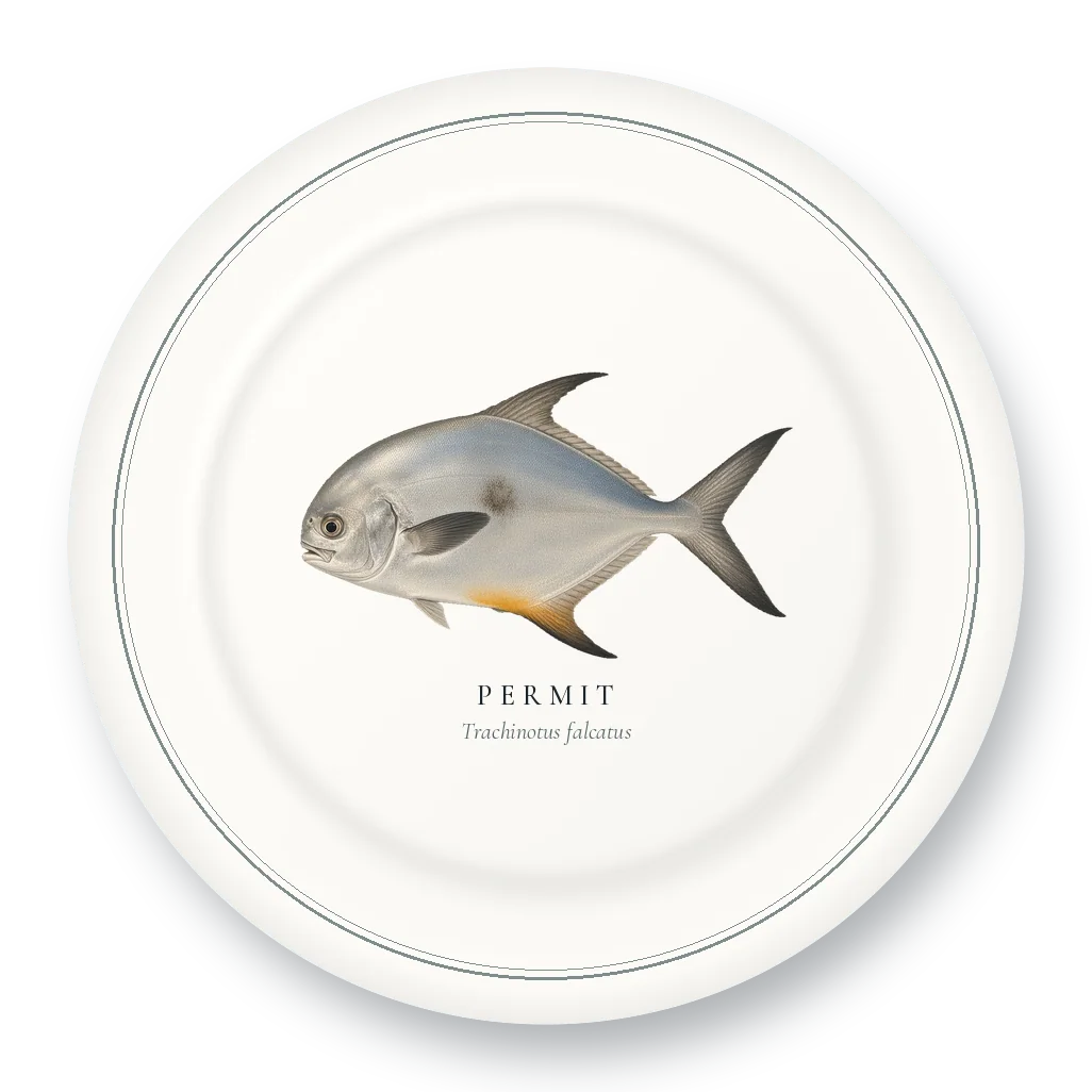 Dinner Plate with Permit illustration
