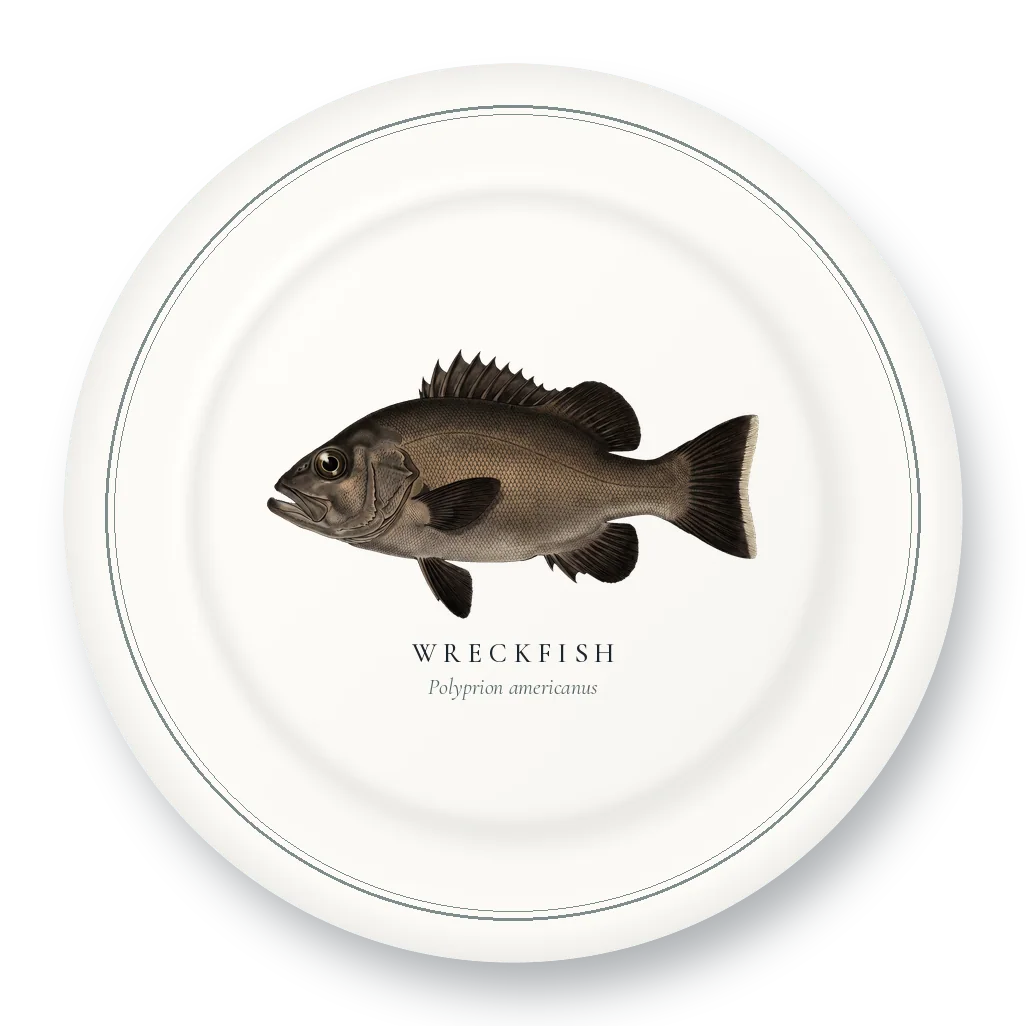 Dinner Plate with Wreckfish illustration