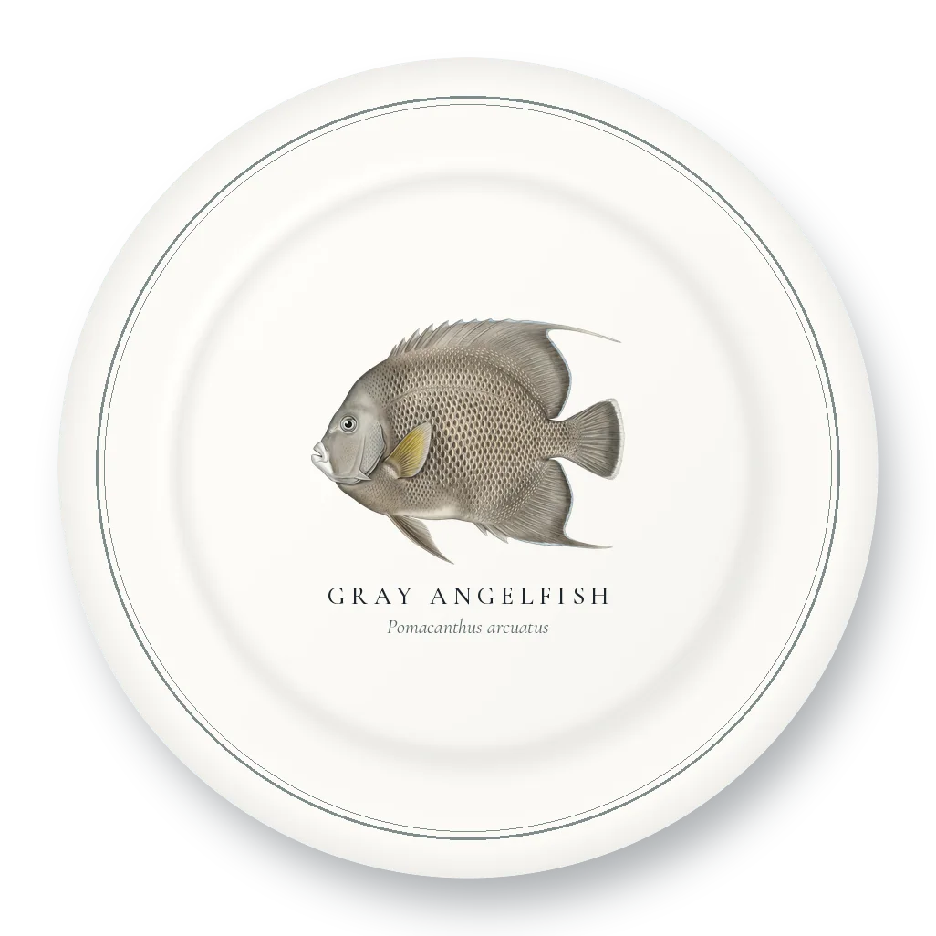 Dinner Plate with Gray Angelfish illustration