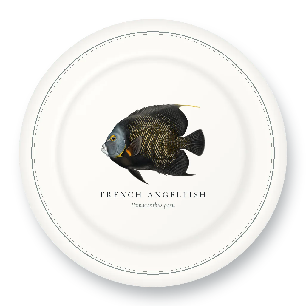 Dinner Plate with French Angelfish illustration