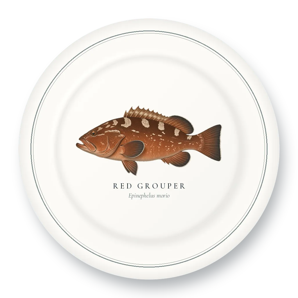 Dinner Plate with Red Grouper illustration