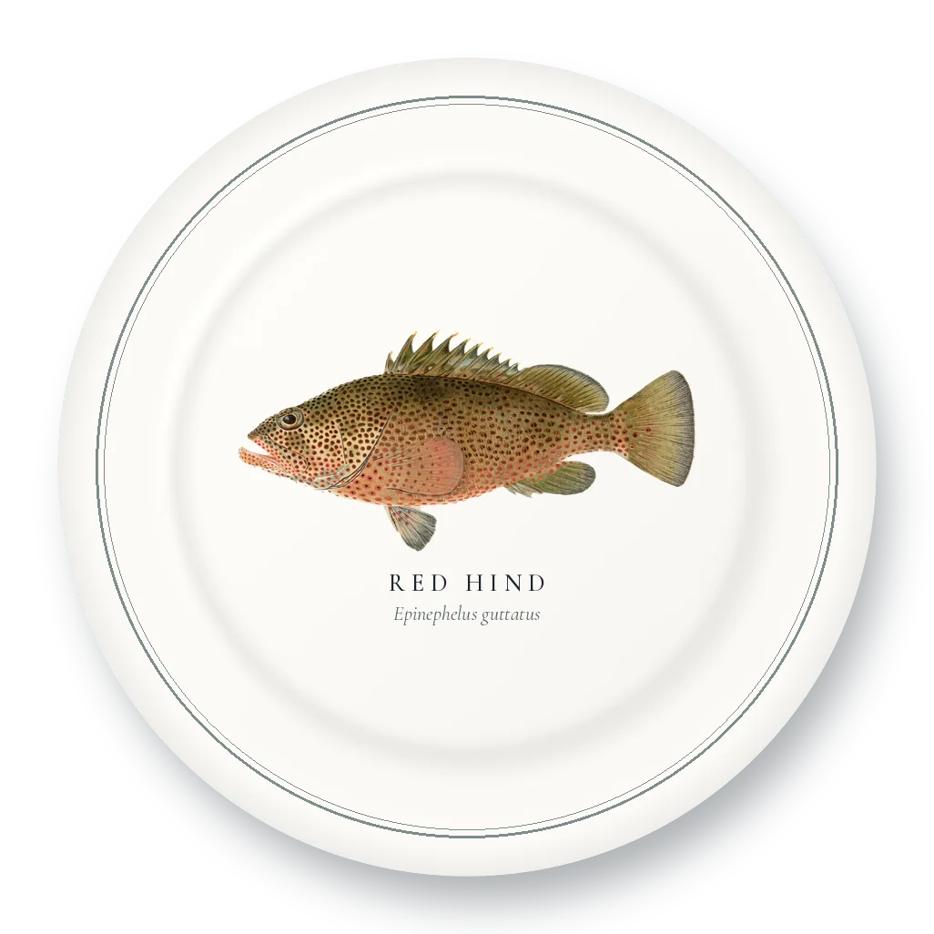 Dinner Plate with Red Hind illustration