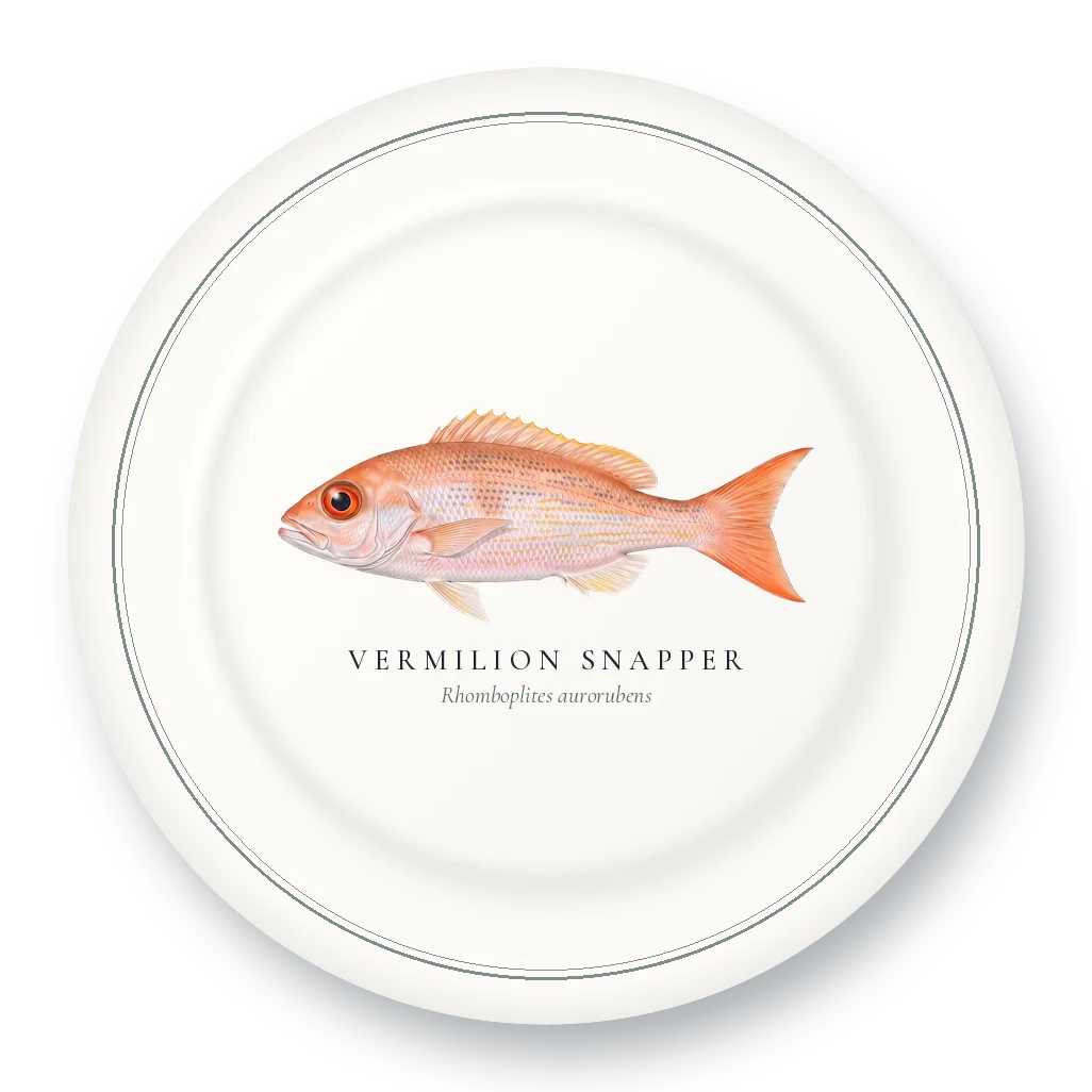 Dinner Plate with Vermilion Snapper illustration