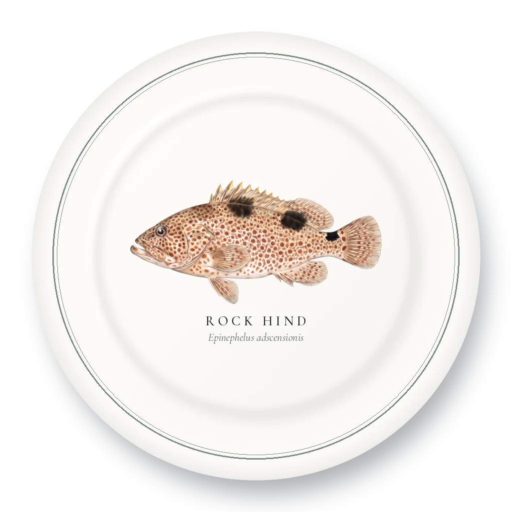 Dinner Plate with Rock Hind illustration