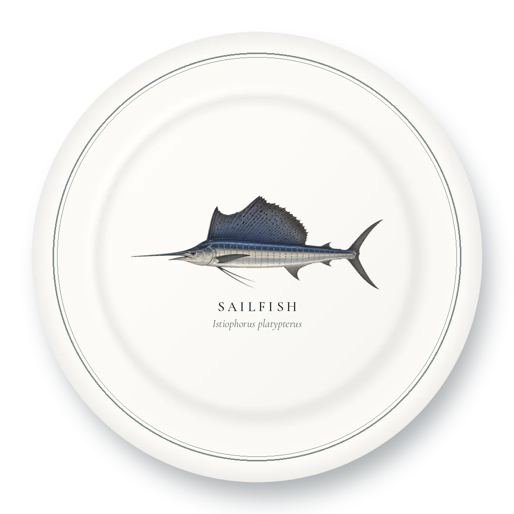 Dinner Plate with Sailfish illustration