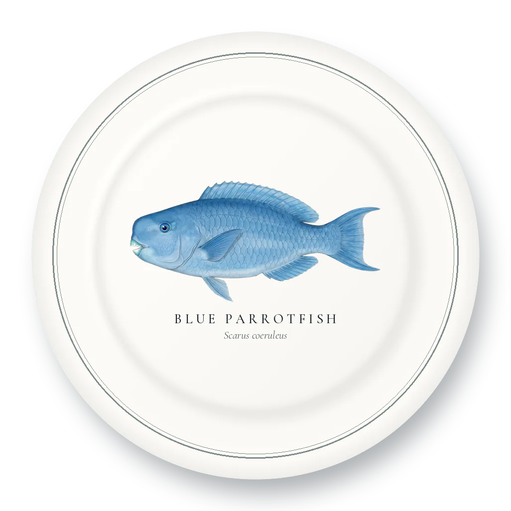 Dinner Plate with Blue Parrotfish illustration