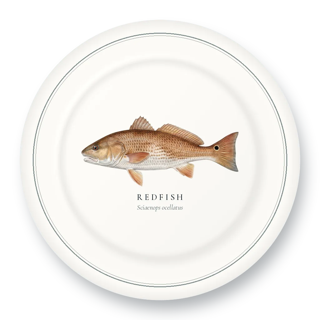 Dinner Plate with Redfish illustration