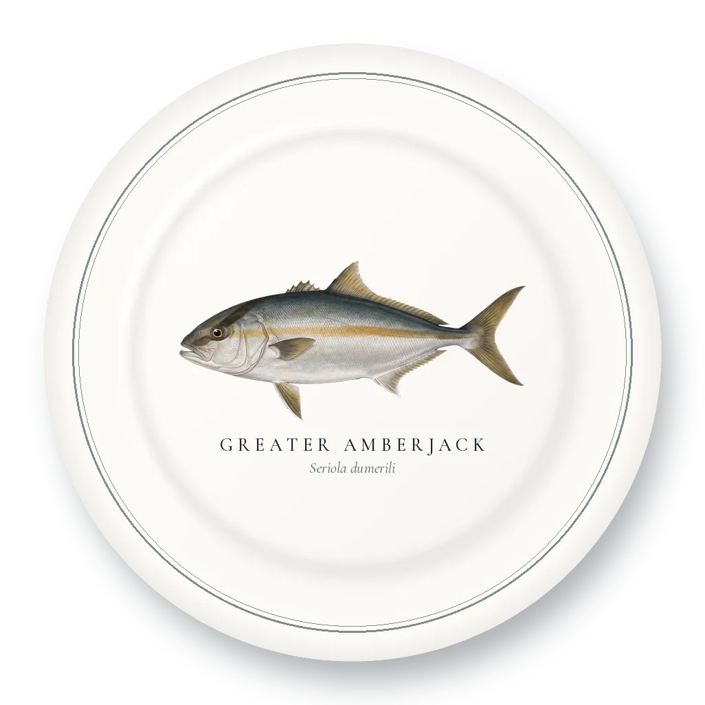 Dinner Plate with Greater Amberjack illustration