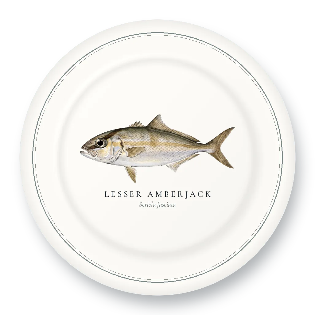 Dinner Plate with Lesser Amberjack illustration