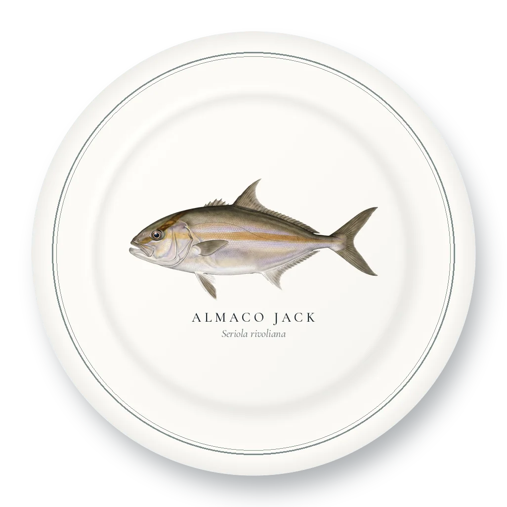 Dinner Plate with Almaco Jack illustration