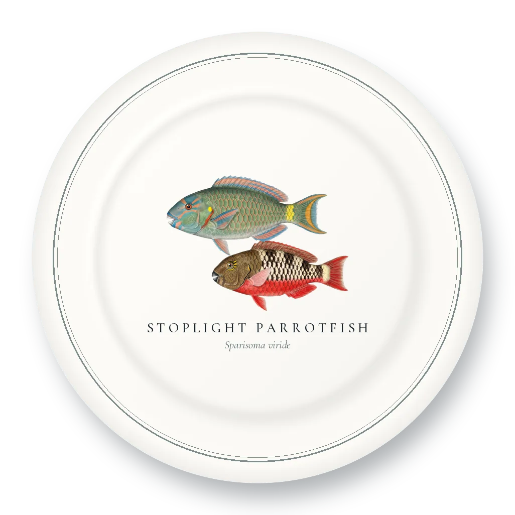 Dinner Plate with Stoplight Parrotfish illustration