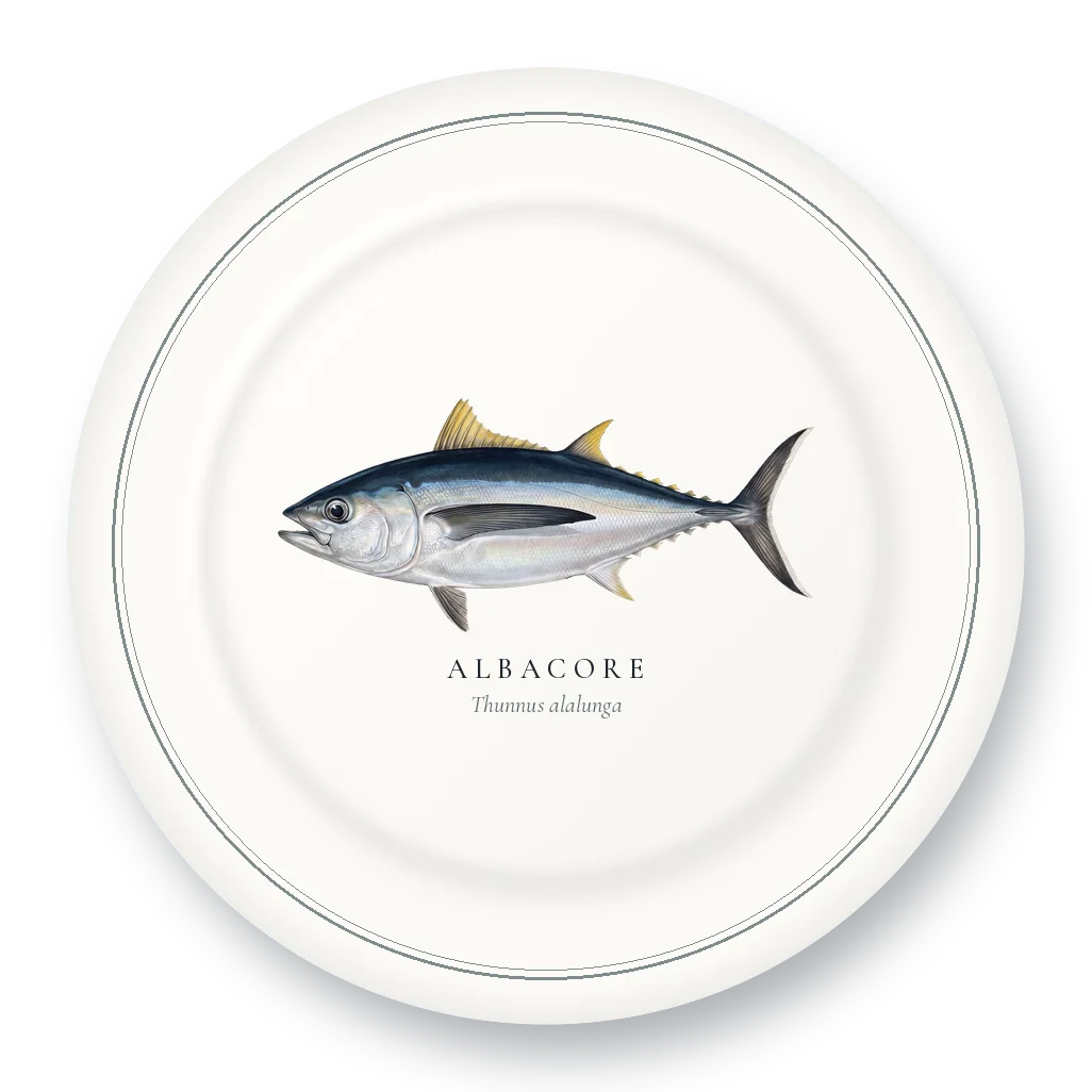 Dinner Plate with Albacore illustration