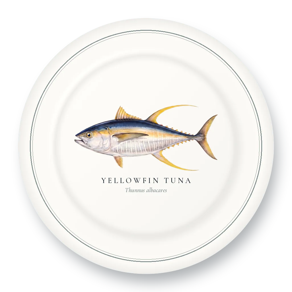 Dinner Plate with Yellowfin Tuna illustration