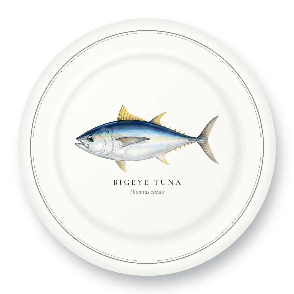 Dinner Plate with Bigeye Tuna illustration