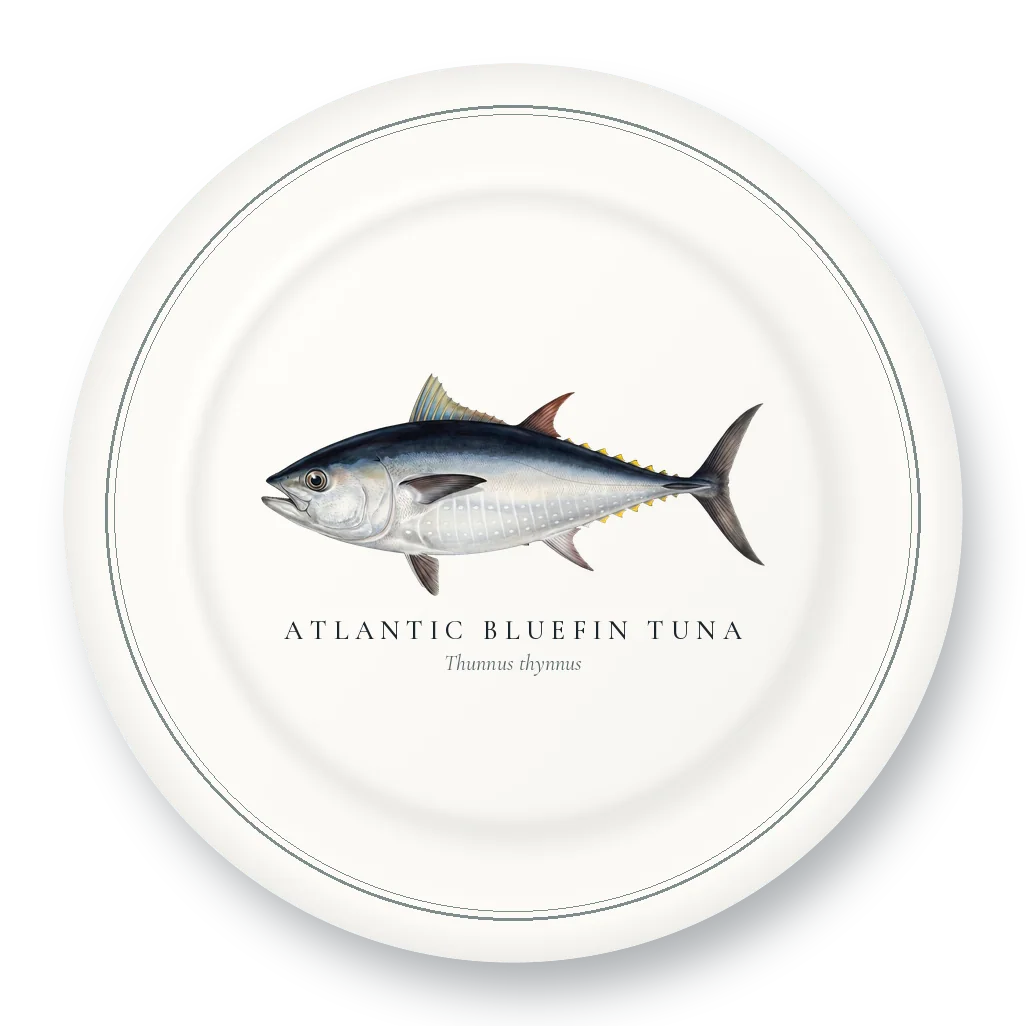 Dinner Plate with Atlantic Bluefin Tuna illustration