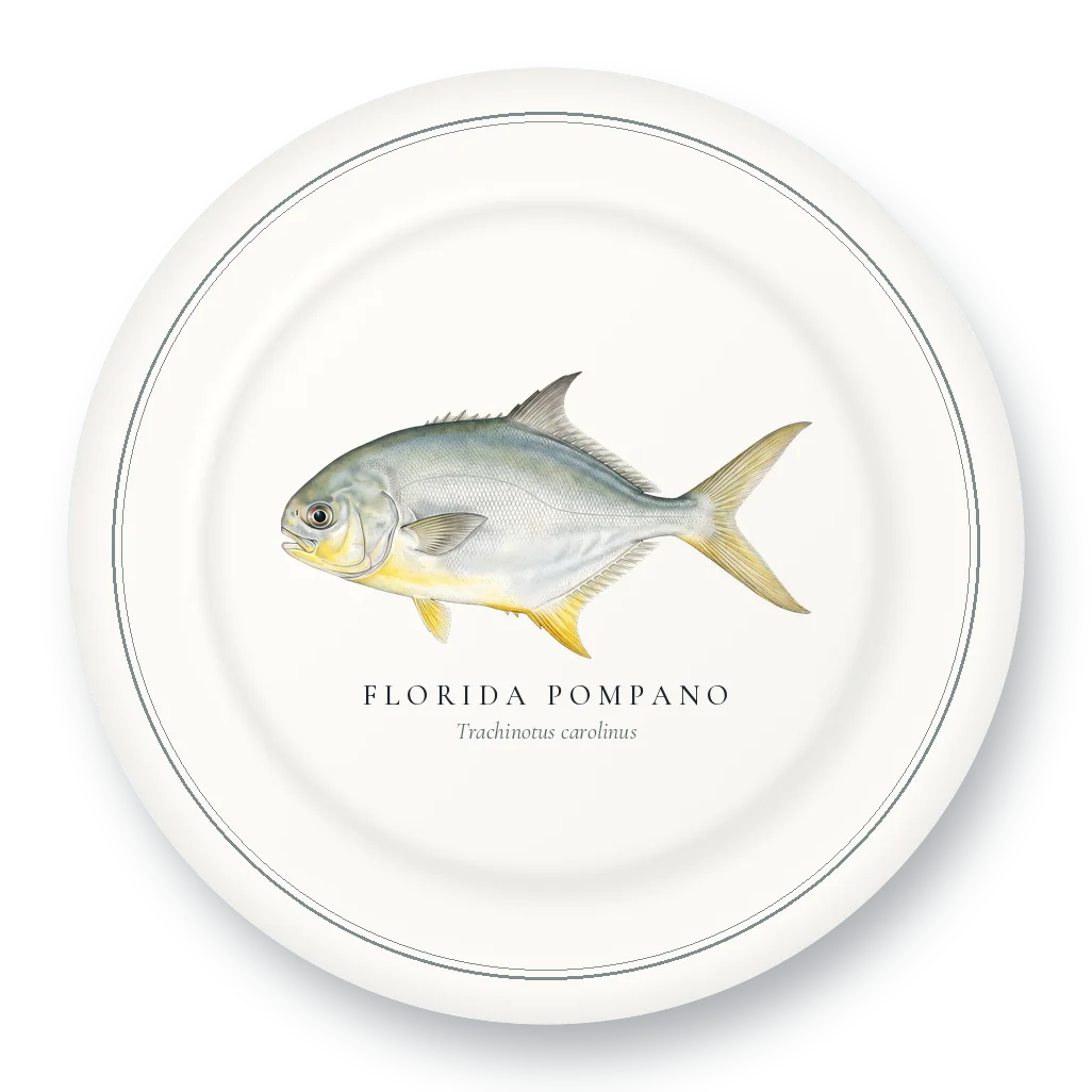 Dinner Plate with Florida Pompano illustration