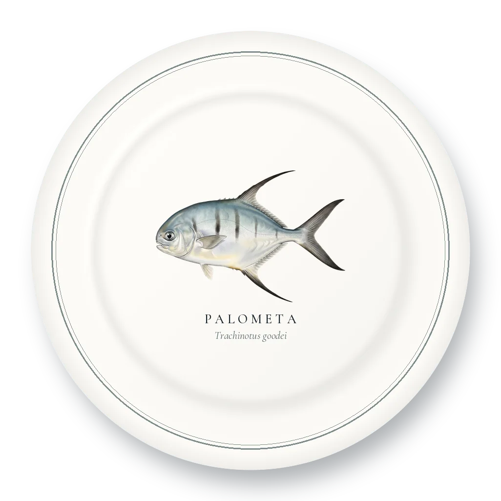 Dinner Plate with Palometa illustration