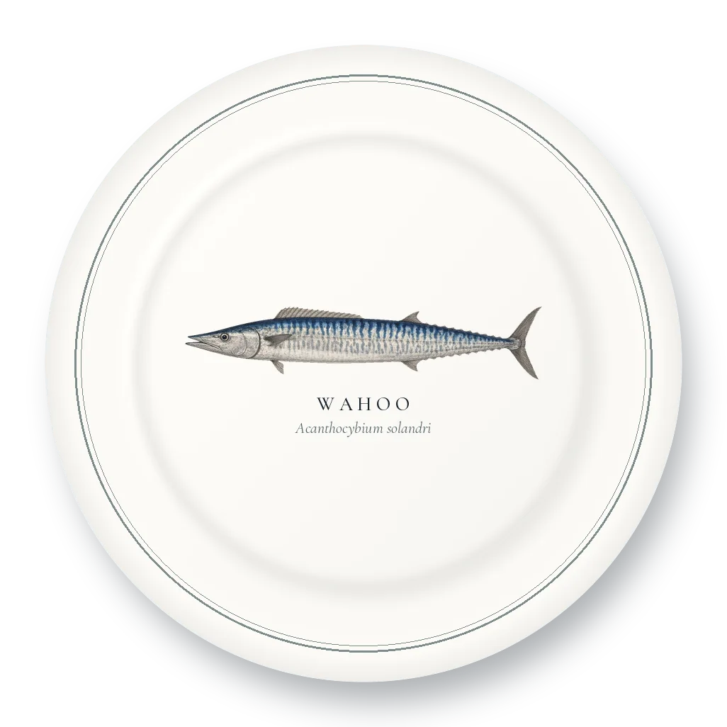 Dinner Plate with Wahoo illustration