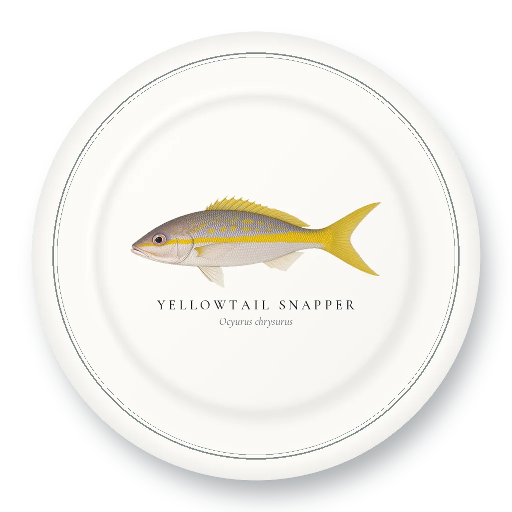 Dinner Plate with Yellowtail Snapper illustration