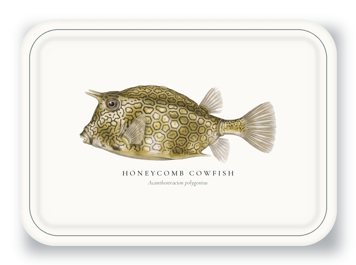 Serving Platter with Honeycomb Cowfish illustration