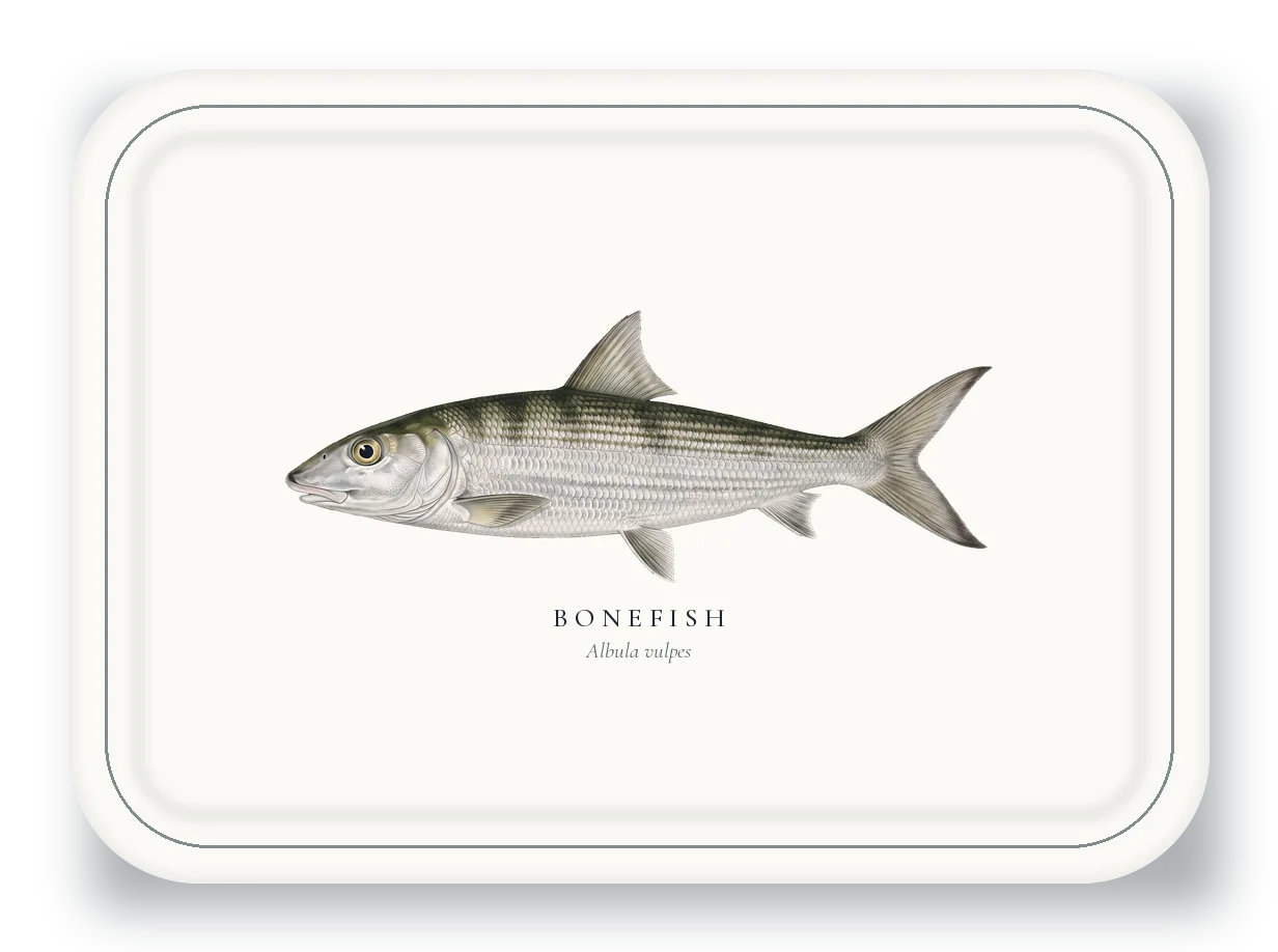Serving Platter with Bonefish illustration