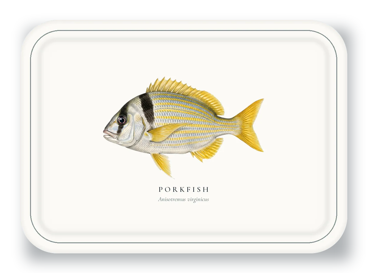 Serving Platter with Porkfish illustration
