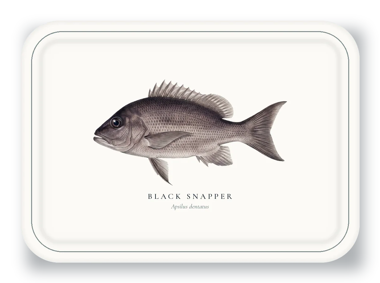 Serving Platter with Black Snapper illustration