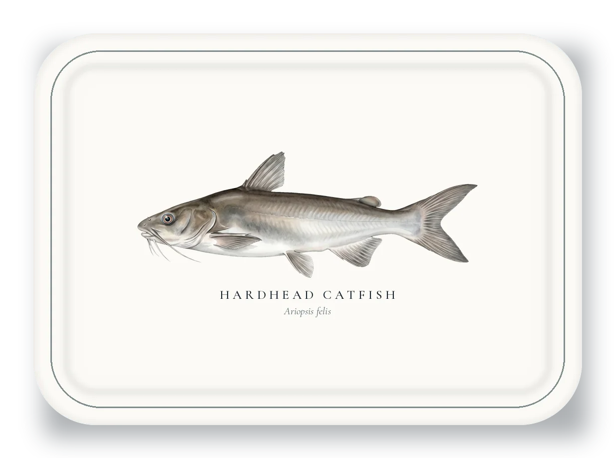 Serving Platter with Hardhead Catfish illustration