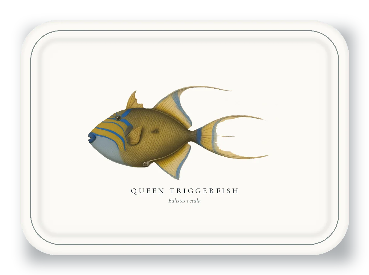 Serving Platter with Queen Triggerfish illustration