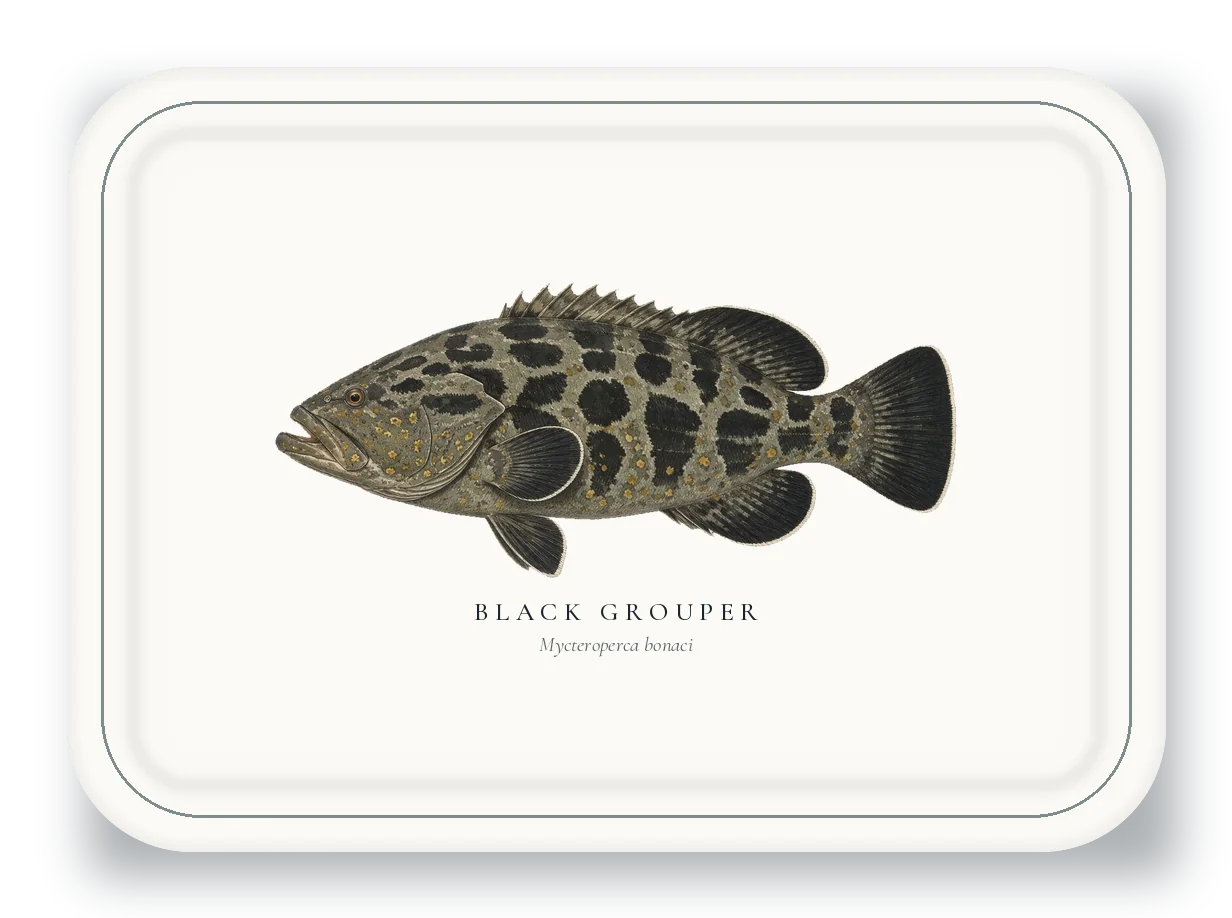 Serving Platter with Black Grouper illustration