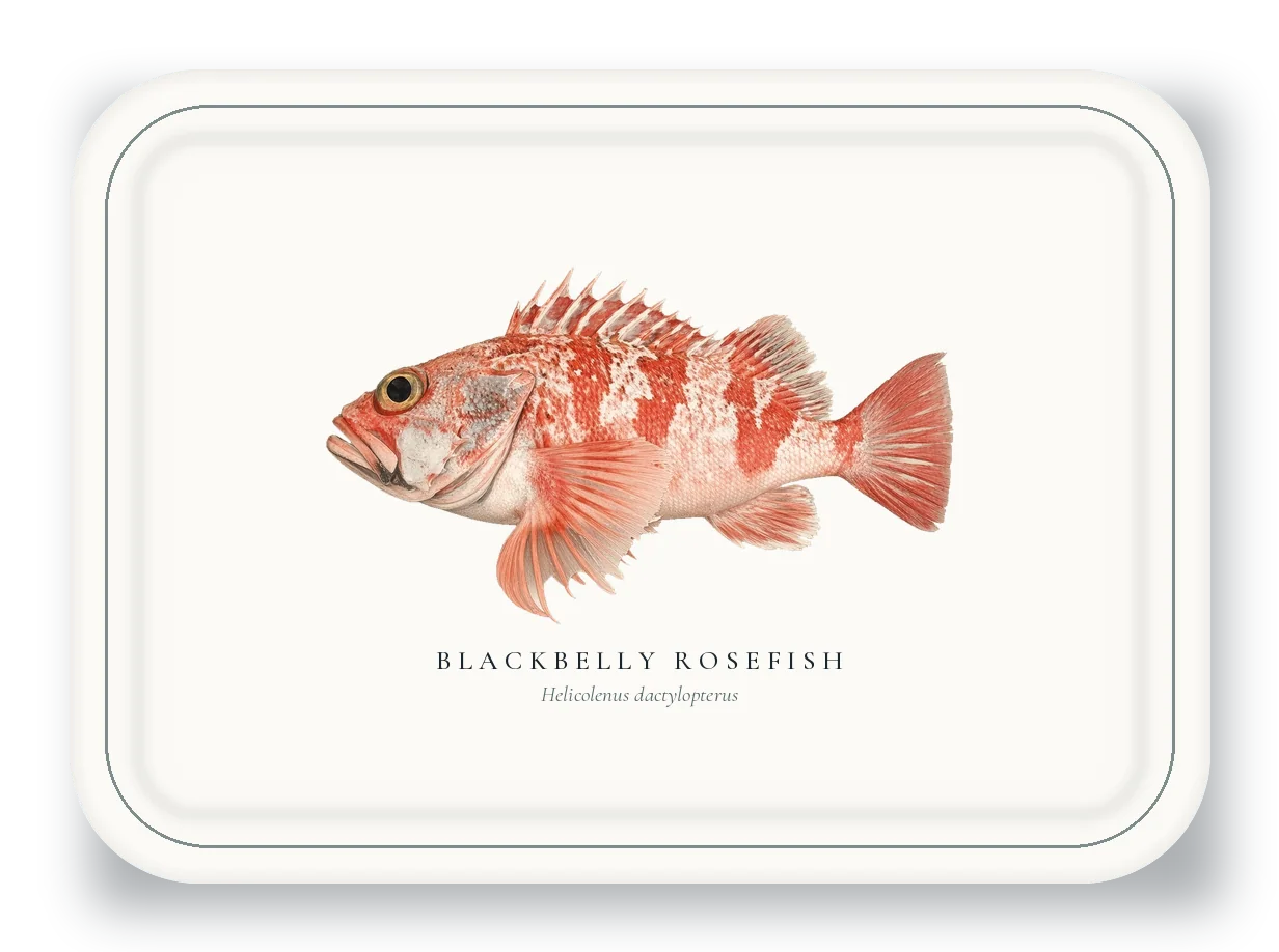 Serving Platter with Blackbelly Rosefish illustration