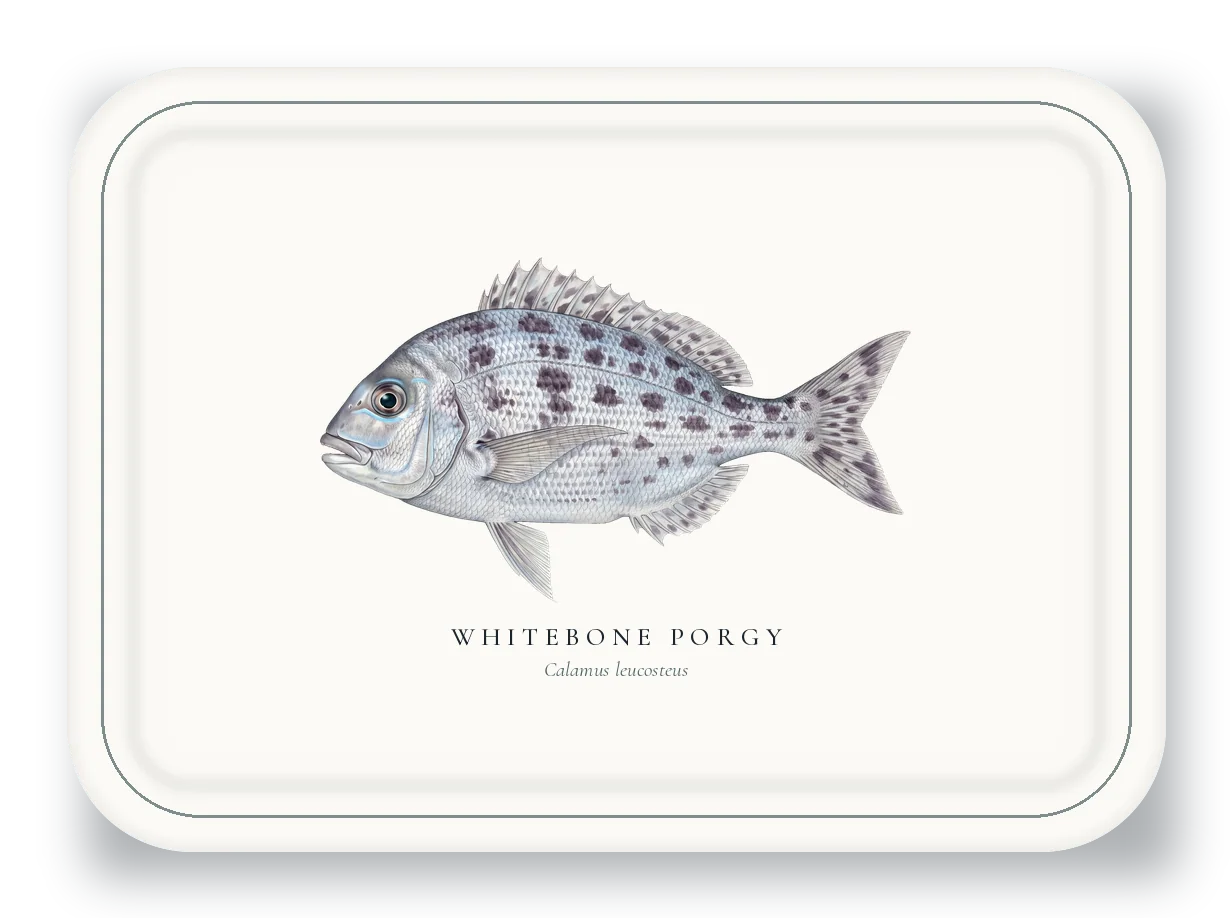 Serving Platter with Whitebone Porgy illustration