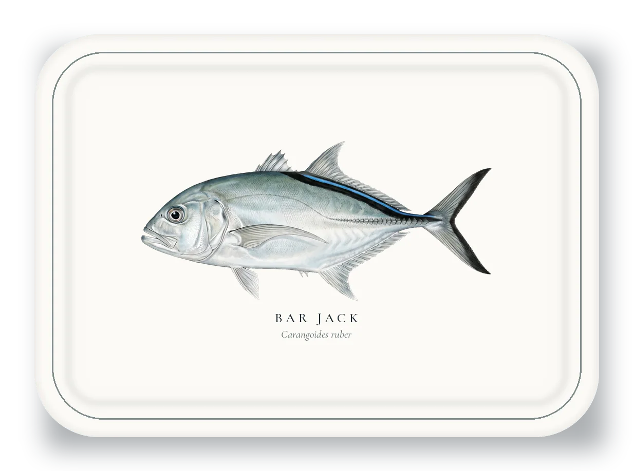 Serving Platter with Bar Jack illustration