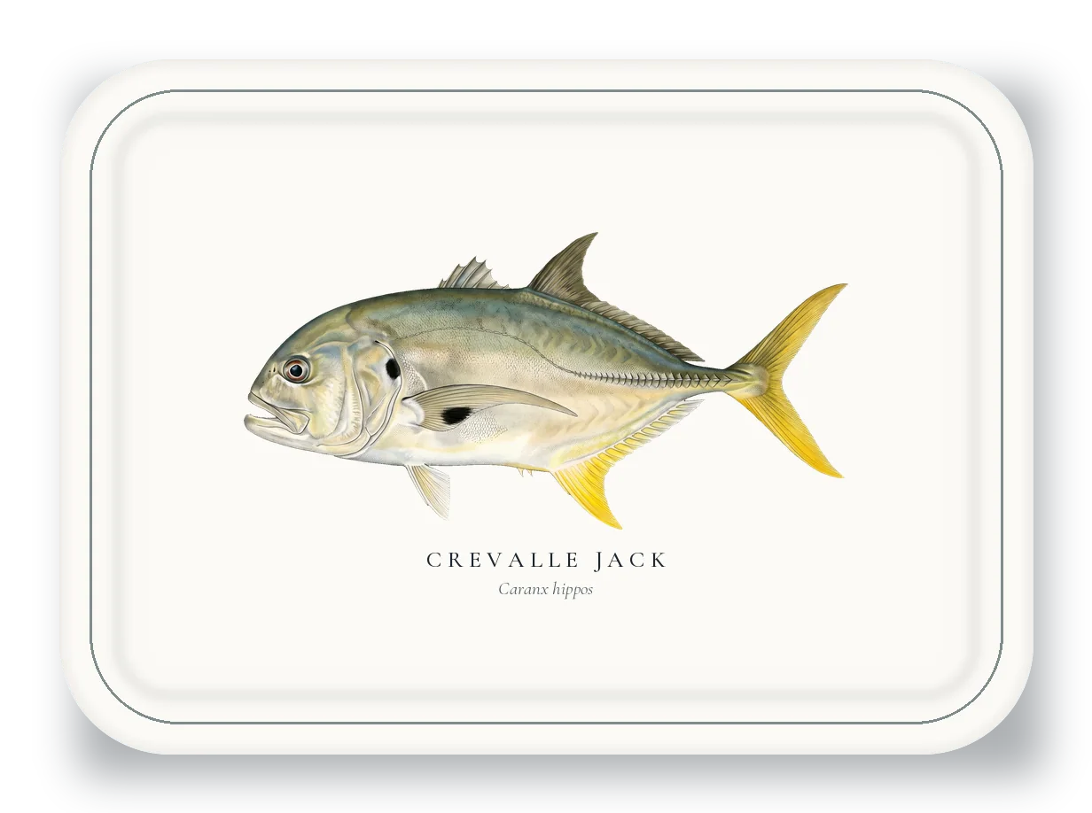 Serving Platter with Crevalle Jack illustration