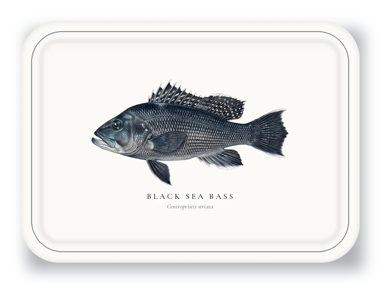 Serving Platter with Black Sea Bass illustration
