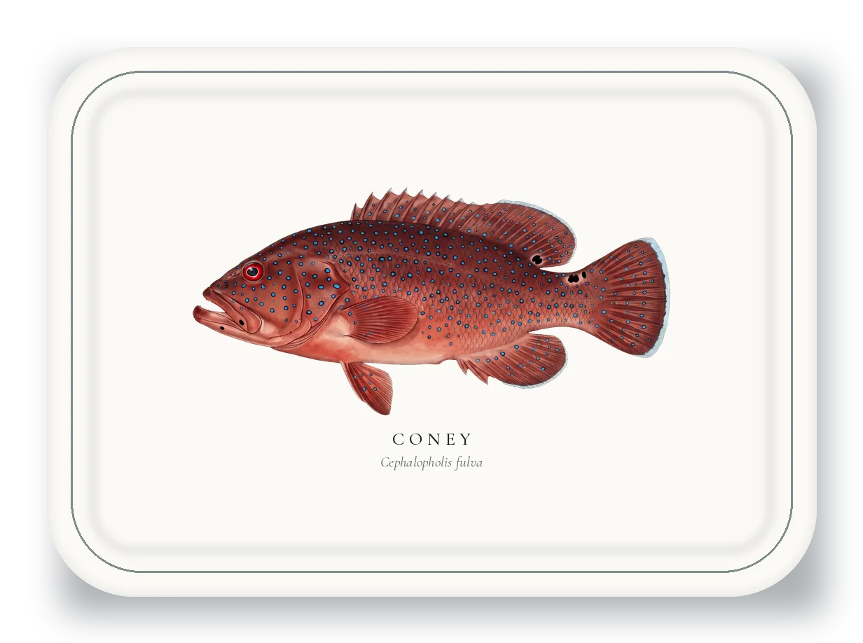 Serving Platter with Coney illustration