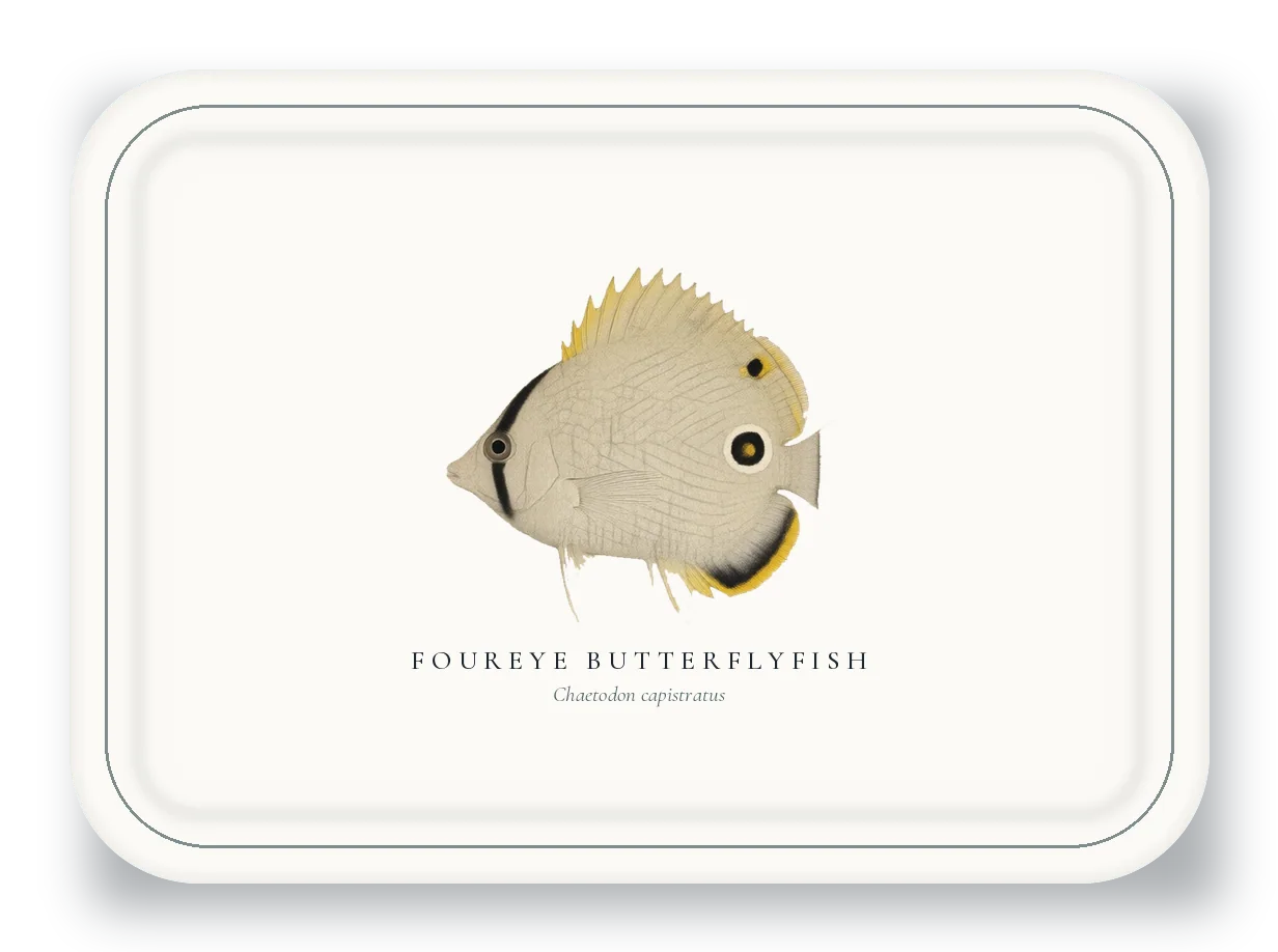 Serving Platter with Foureye Butterflyfish illustration