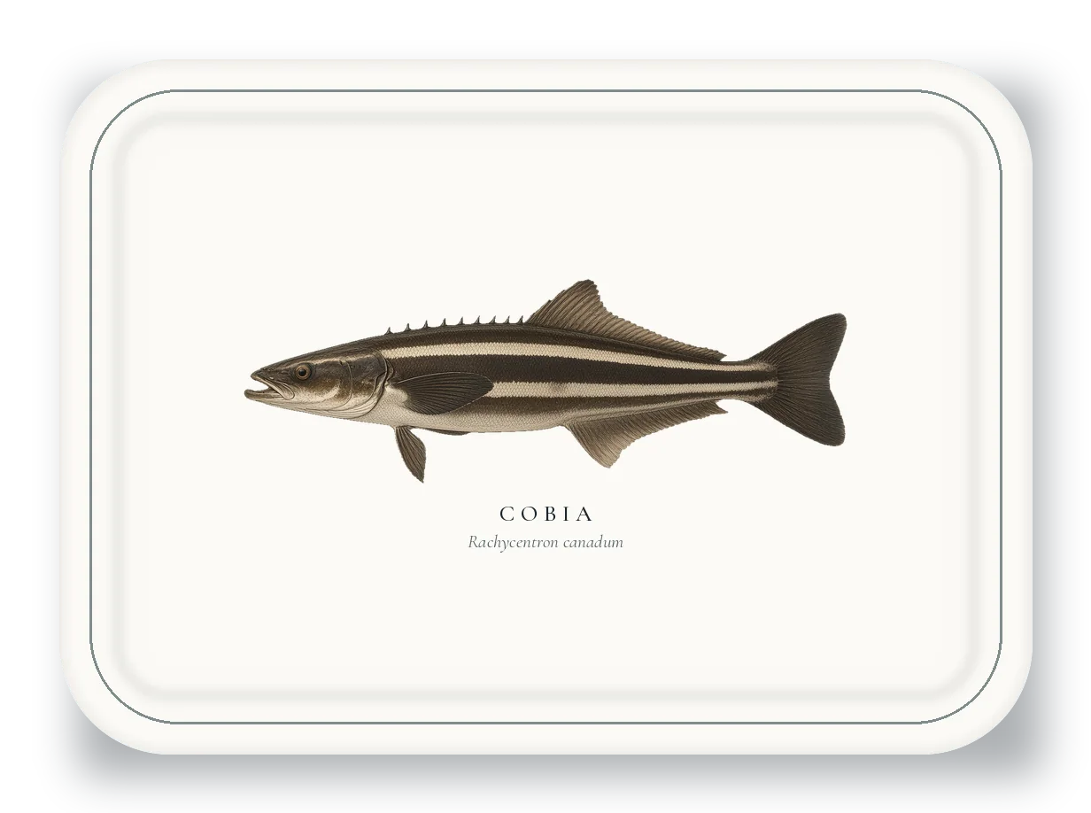 Serving Platter with Cobia illustration