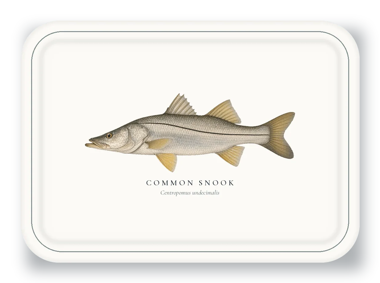 Serving Platter with Common Snook illustration