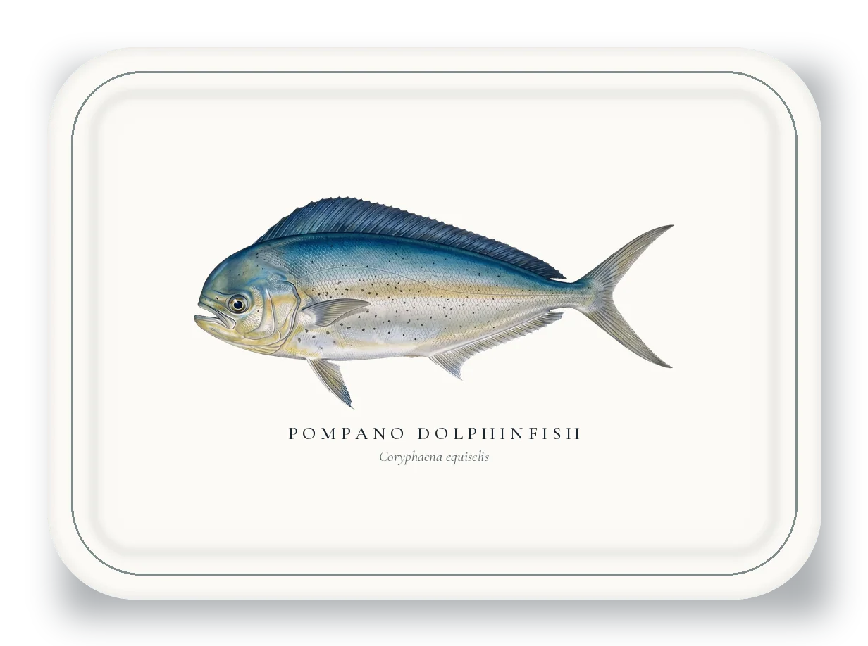 Serving Platter with Pompano Dolphinfish illustration