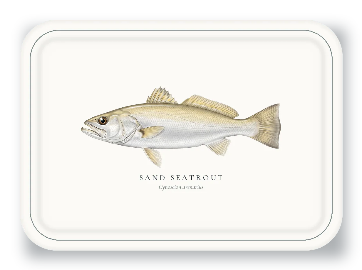 Serving Platter with Sand Seatrout illustration